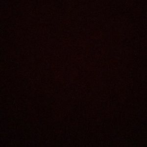 Meet your Posher, Jerry